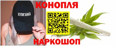 mdpv Гатчина