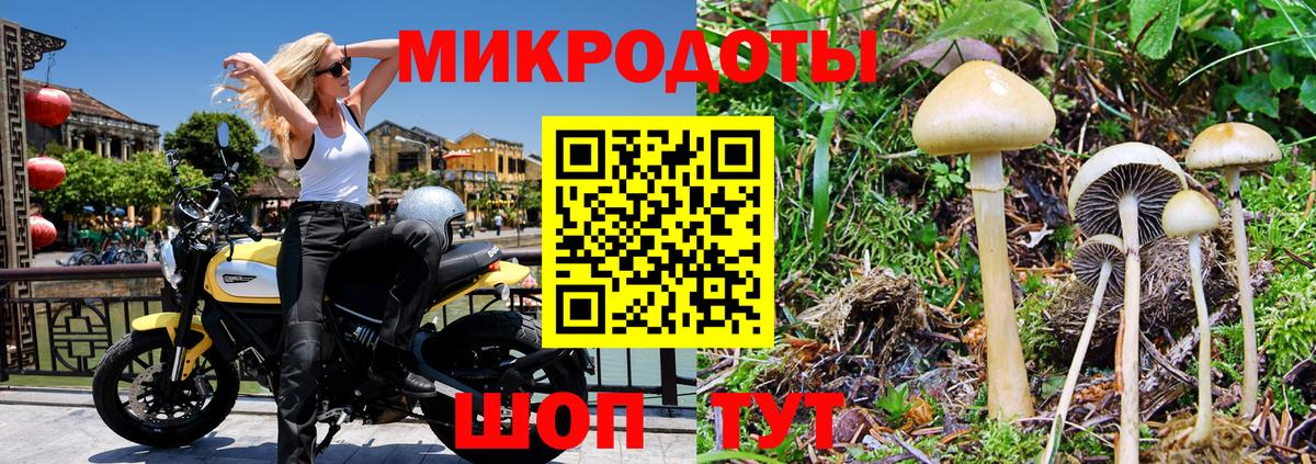 Чернушка  Псилоцибиновые грибы MAGIC MUSHROOMS  цена наркотик  Вход с VPN 
